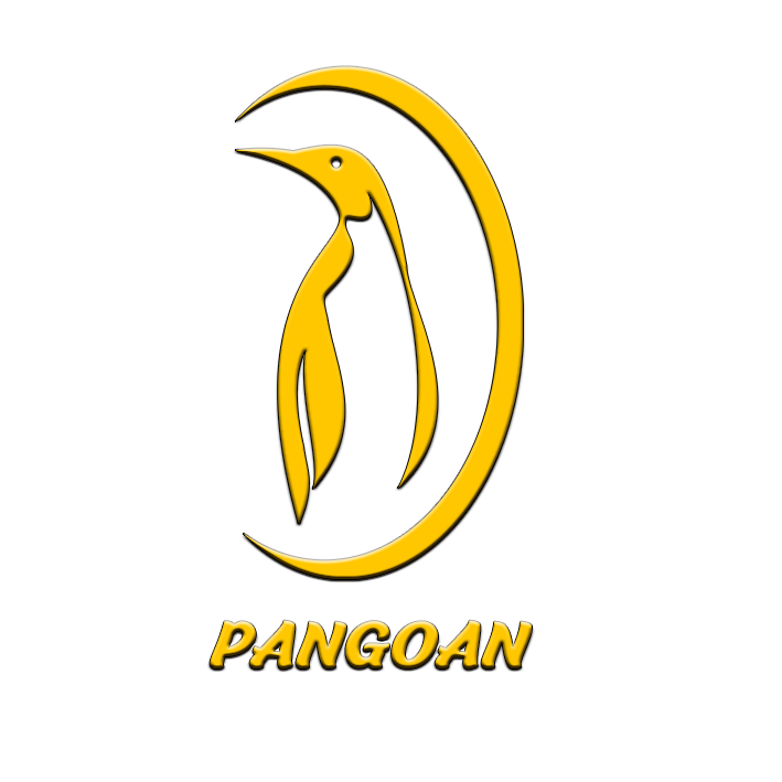 PANGOAN shoes