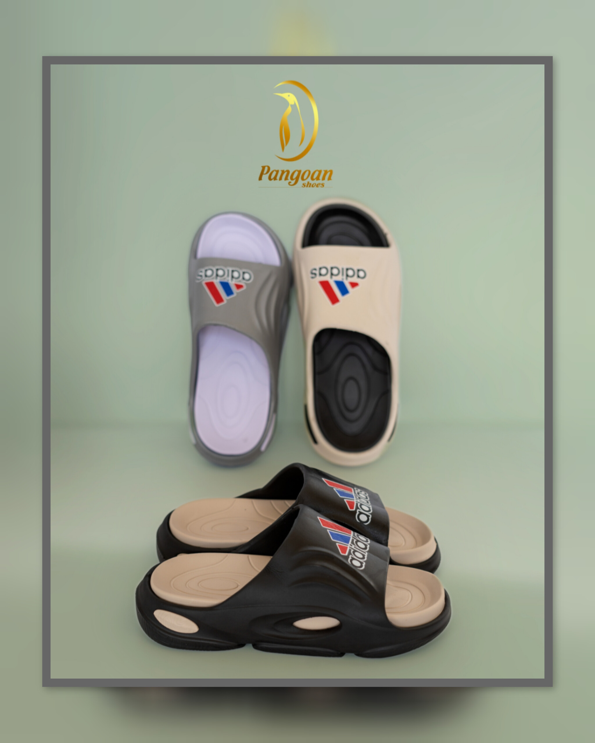 PiNGO_brdr19 شاهین مردانه - Image 1